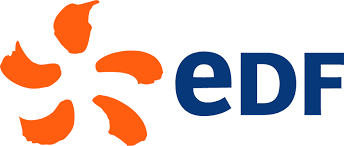 EDF India Private Limited Logo